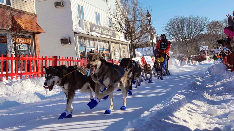 East Coast’s longest dogsled race cancelled over lack of snow