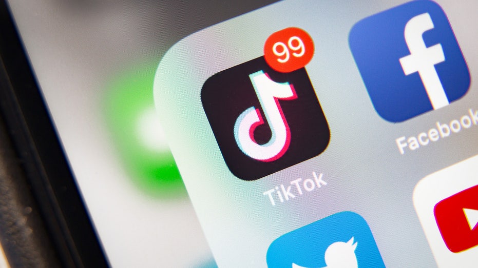 Most Americans support House plan to ban TikTok if it isn’t sold, poll finds